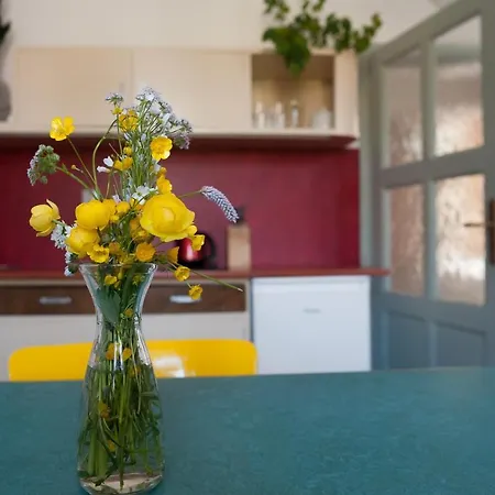 Apartmany16 Lägenhet Olesnice v Orlickych horach