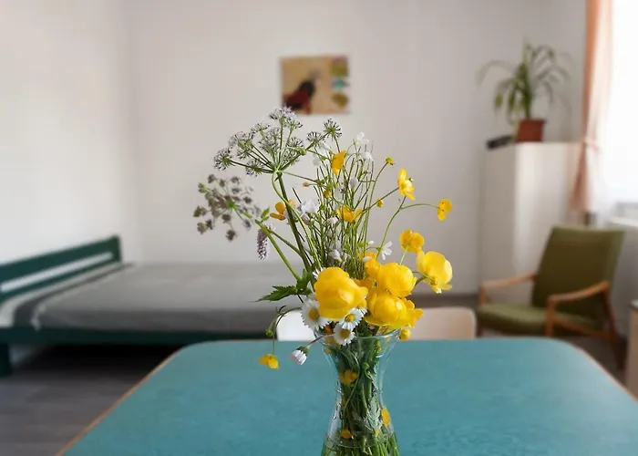Apartmany16 アパート Olešnice v Orlických horách